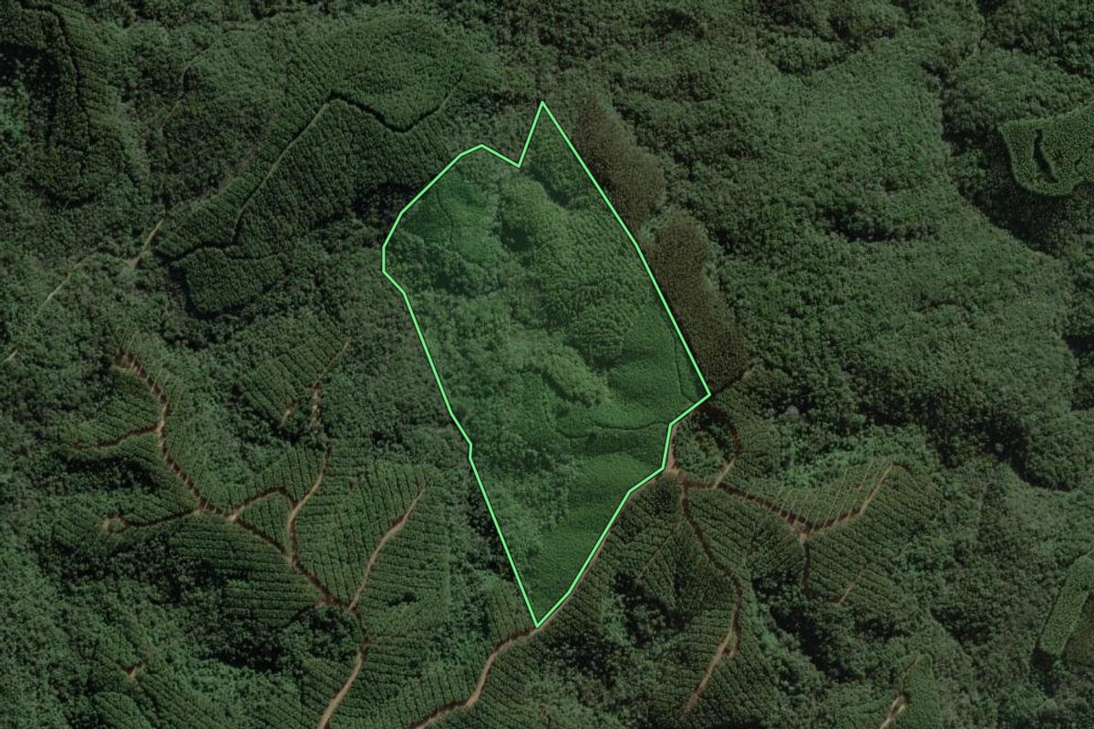 Imagem de satélite do imóvel rural em Ponta Grossa (PR), com o contorno declarado no CAR desenhado por cima.