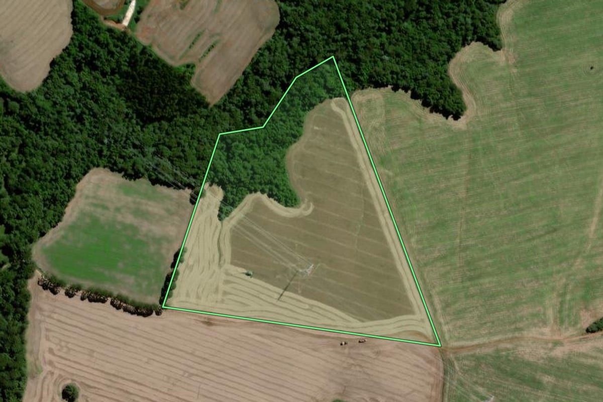 Imagem de satélite do imóvel rural em Ponta Grossa (PR), com o contorno declarado no CAR desenhado por cima.