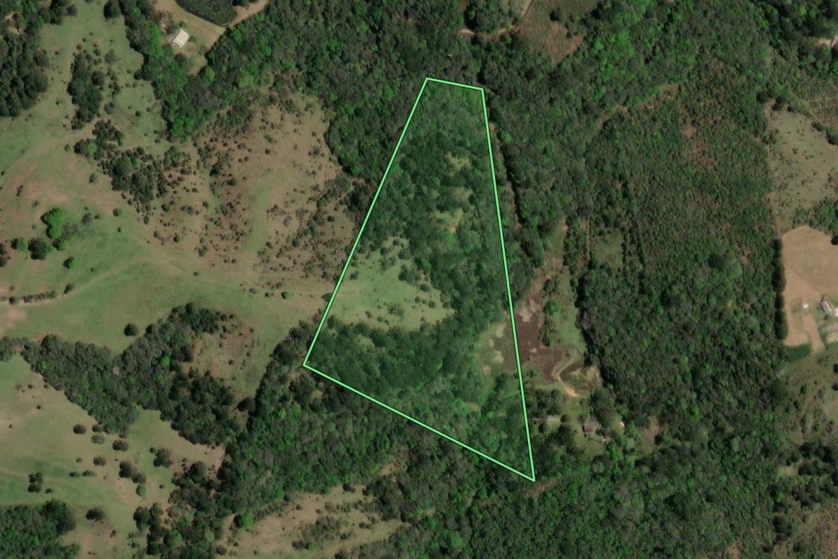 Imagem de satélite do imóvel rural em Ponta Grossa (PR), com o contorno declarado no CAR desenhado por cima.