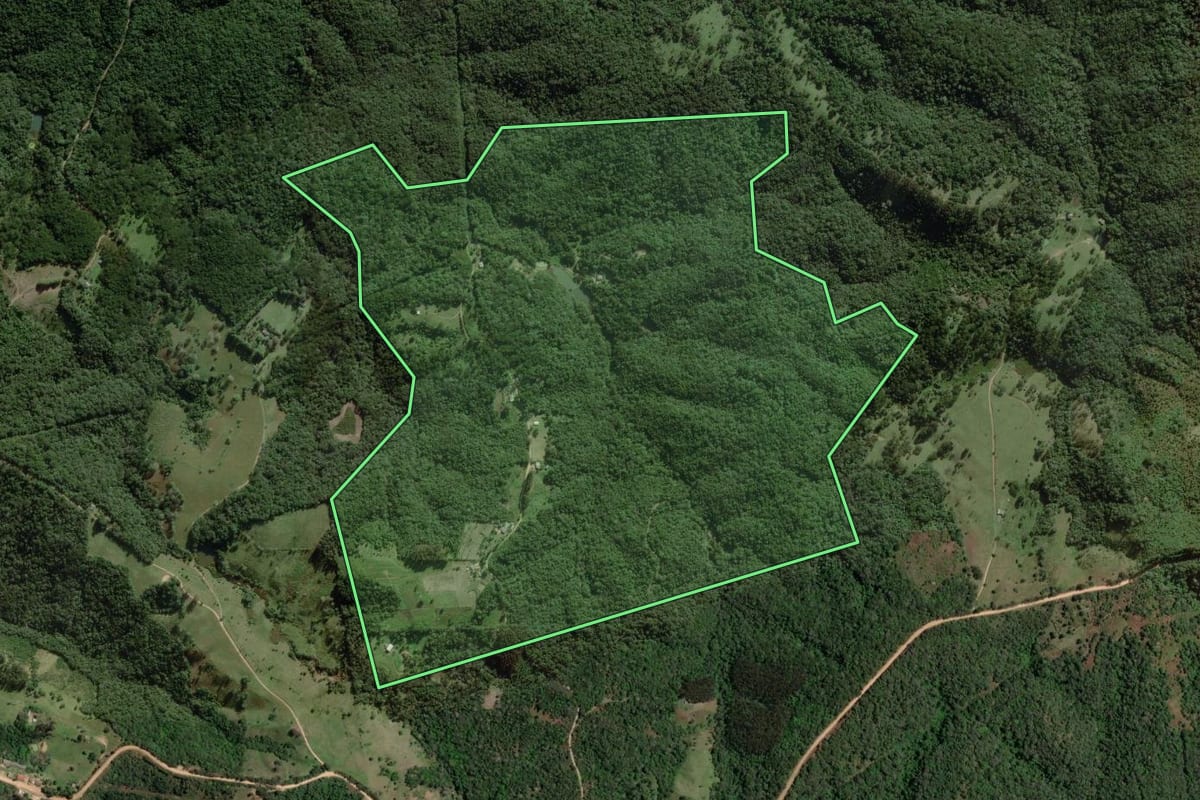 Imagem de satélite do imóvel rural em Ponta Grossa (PR), com o contorno declarado no CAR desenhado por cima.