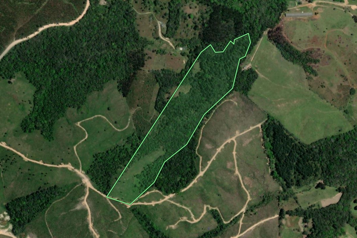 Imagem de satélite do imóvel rural em Ponta Grossa (PR), com o contorno declarado no CAR desenhado por cima.