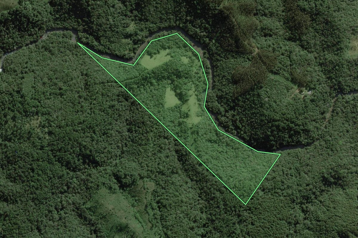 Imagem de satélite do imóvel rural em Ponta Grossa (PR), com o contorno declarado no CAR desenhado por cima.