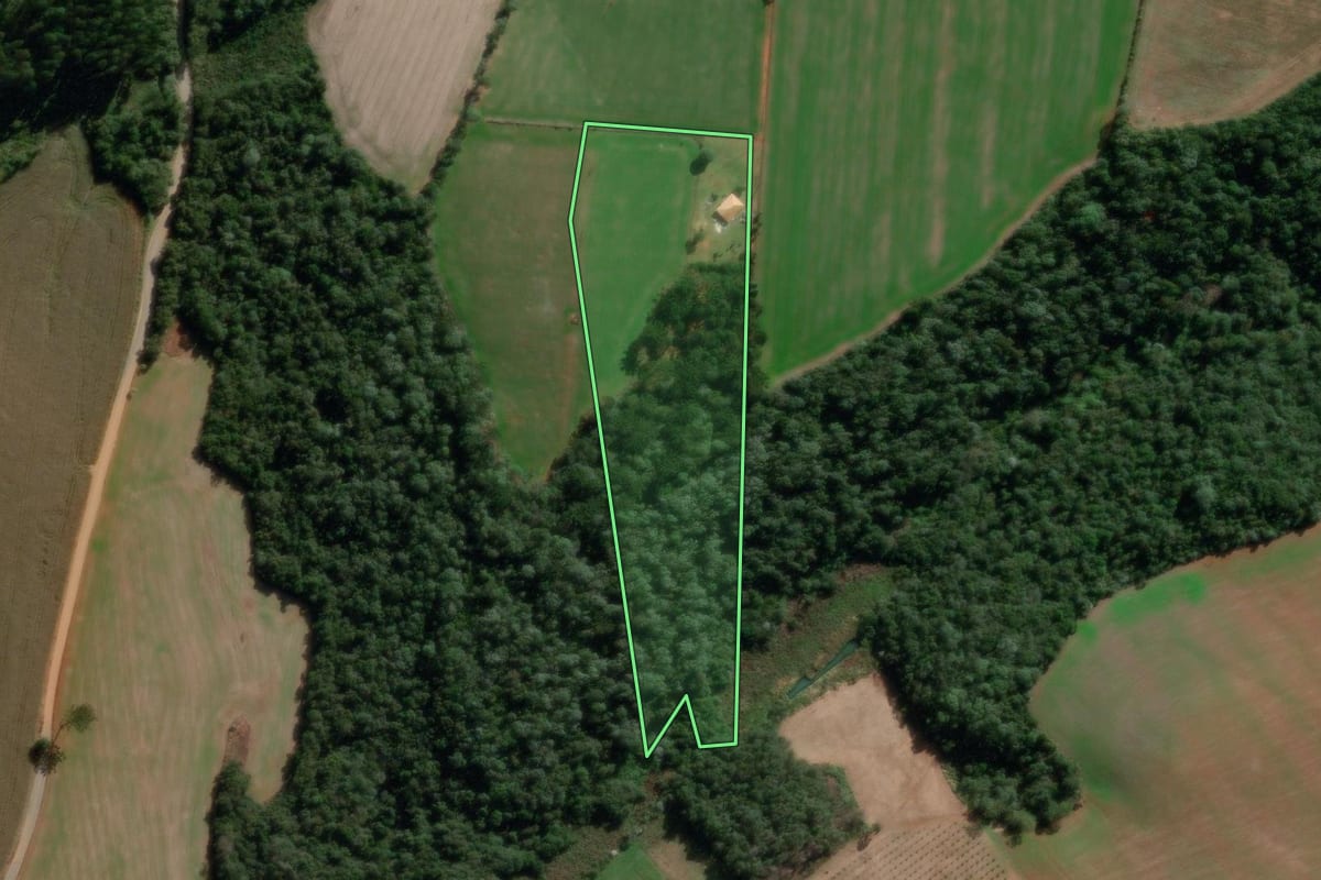 Imagem de satélite do imóvel rural em Ponta Grossa (PR), com o contorno declarado no CAR desenhado por cima.