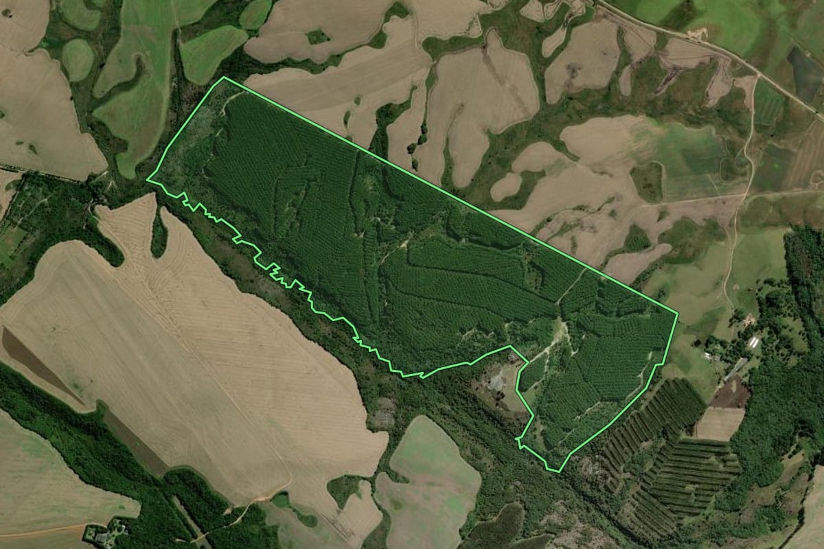 Imagem de satélite do imóvel rural em Ponta Grossa (PR), com o contorno declarado no CAR desenhado por cima.