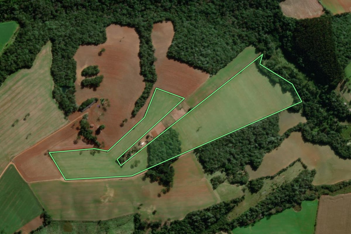 Imagem de satélite do imóvel rural em Ponta Grossa (PR), com o contorno declarado no CAR desenhado por cima.
