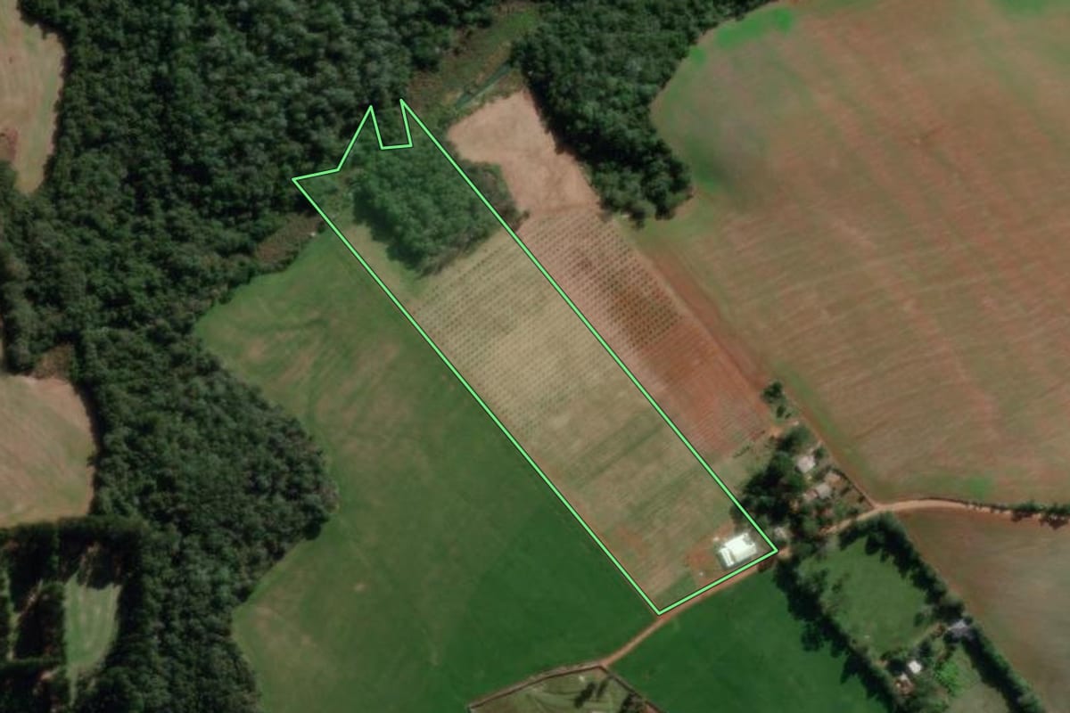 Imagem de satélite do imóvel rural em Ponta Grossa (PR), com o contorno declarado no CAR desenhado por cima.