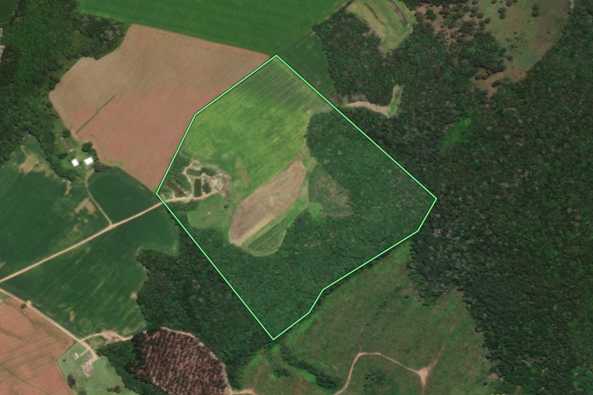 Imagem de satélite do imóvel rural em Ponta Grossa (PR), com o contorno declarado no CAR desenhado por cima.
