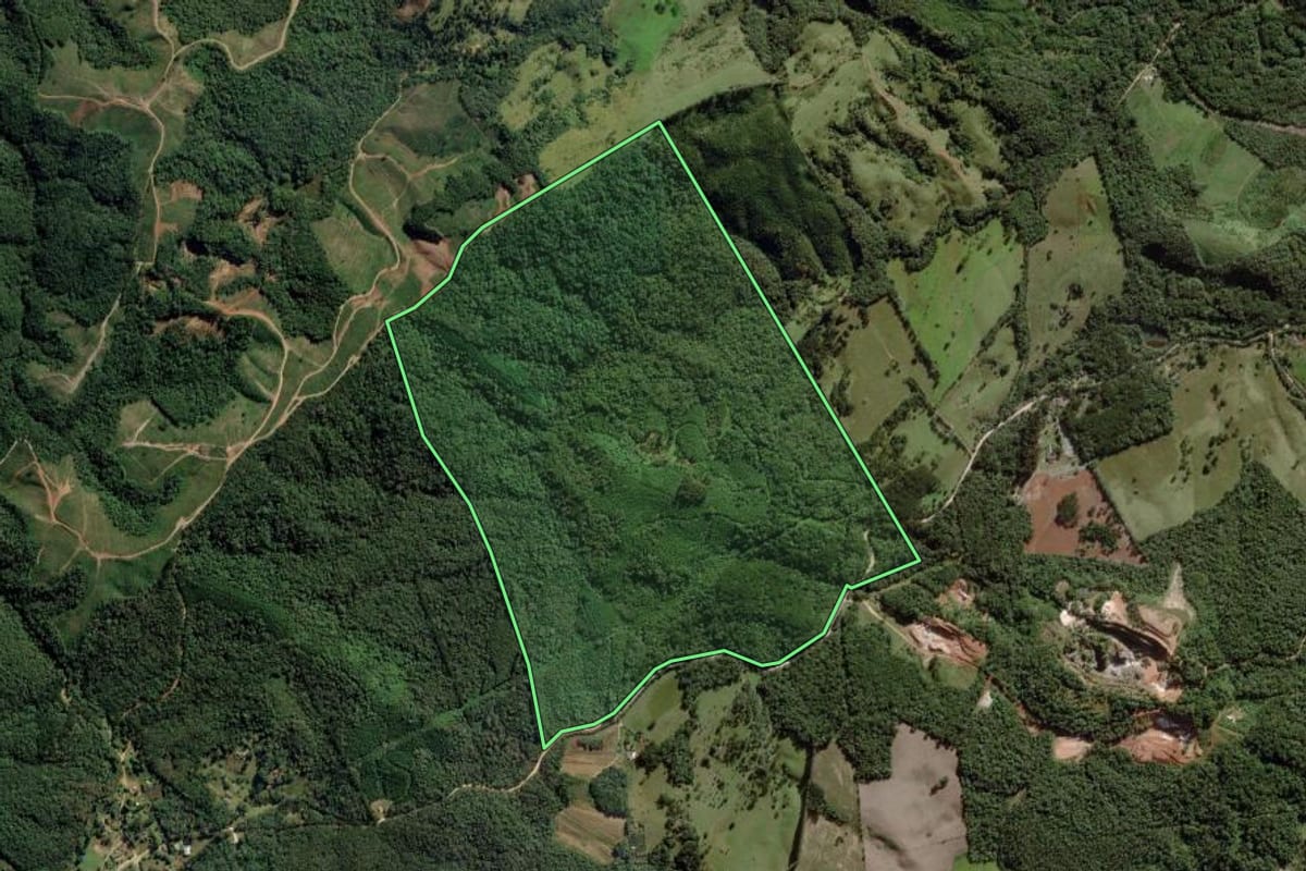 Imagem de satélite do imóvel rural em Ponta Grossa (PR), com o contorno declarado no CAR desenhado por cima.