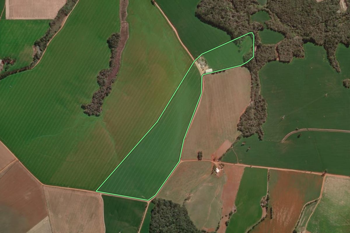 Imagem de satélite do imóvel rural em Ponta Grossa (PR), com o contorno declarado no CAR desenhado por cima.