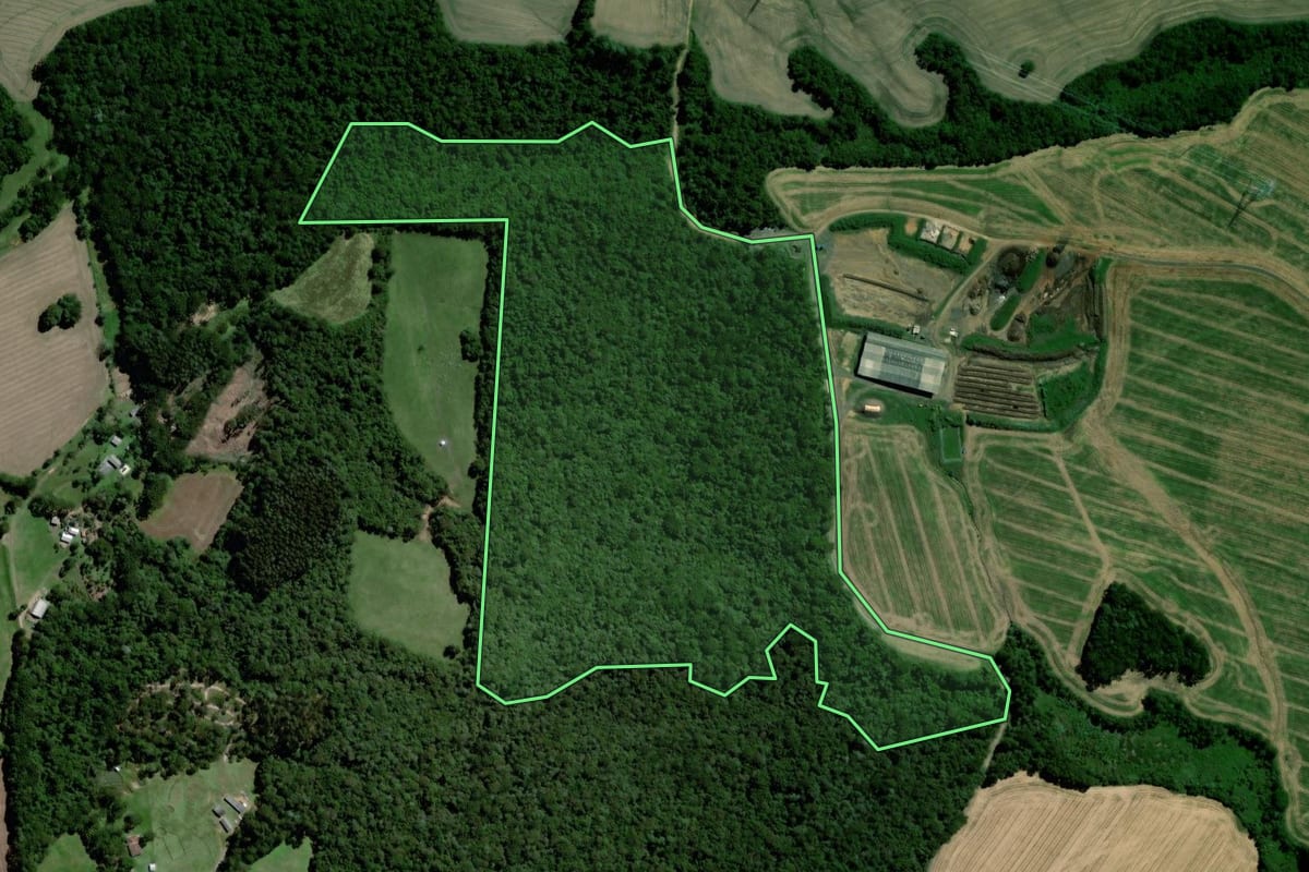 Imagem de satélite do imóvel rural em Ponta Grossa (PR), com o contorno declarado no CAR desenhado por cima.