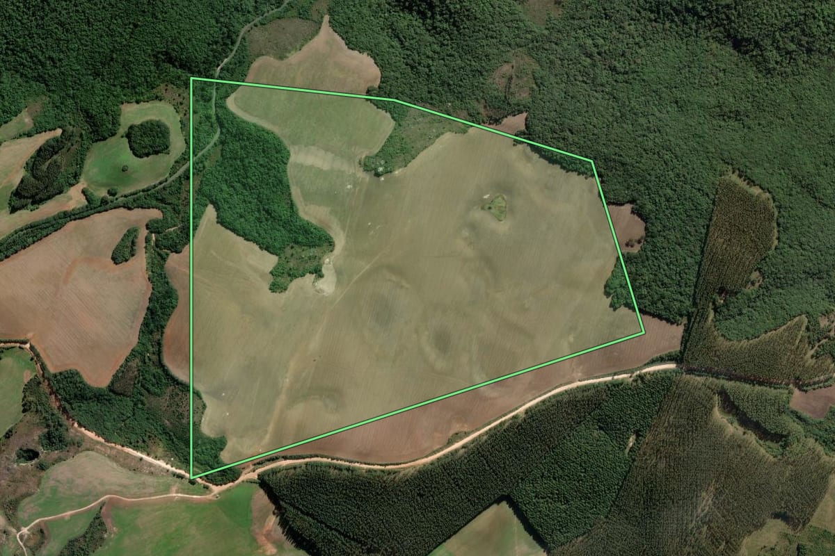 Imagem de satélite do imóvel rural em Ponta Grossa (PR), com o contorno declarado no CAR desenhado por cima.
