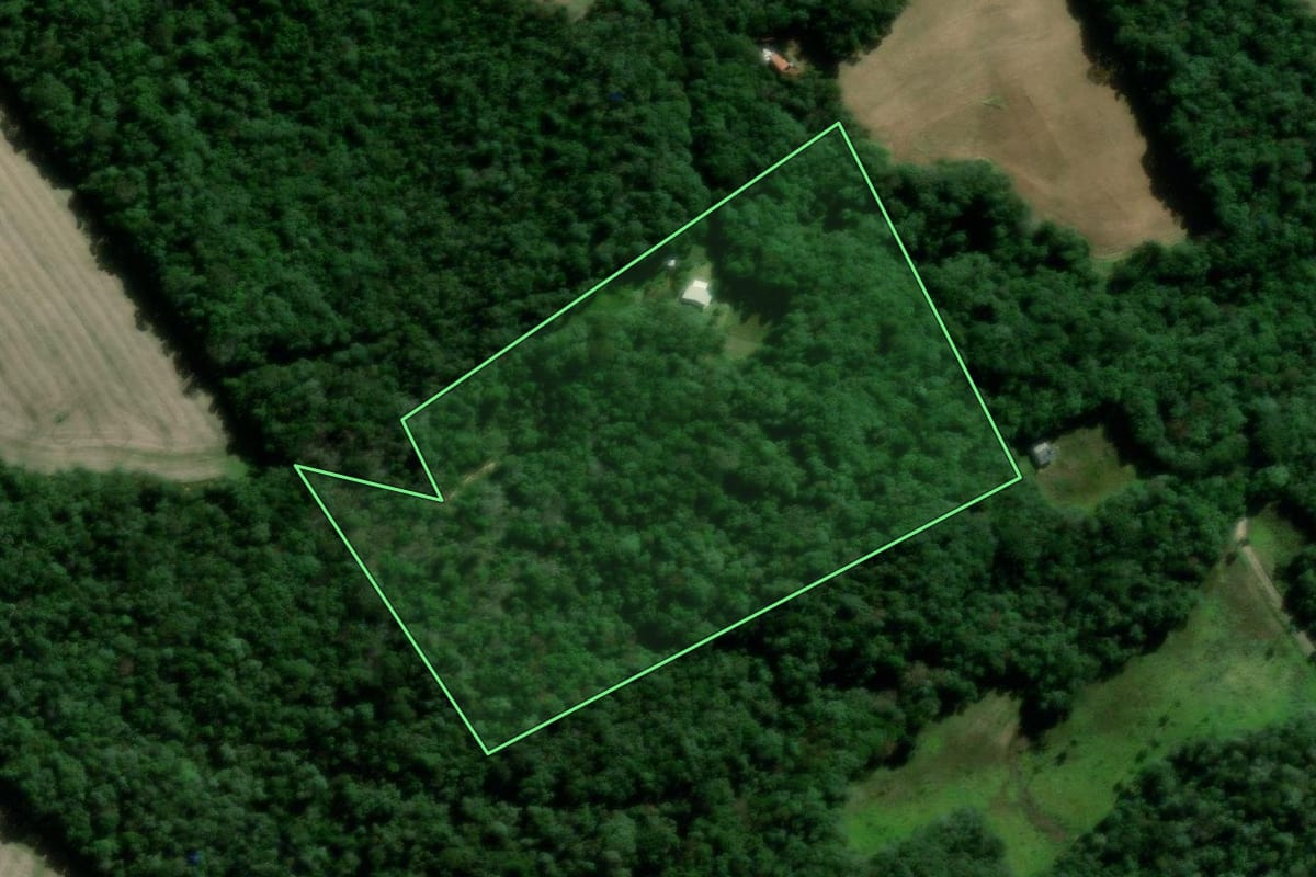 Imagem de satélite do imóvel rural em Ponta Grossa (PR), com o contorno declarado no CAR desenhado por cima.