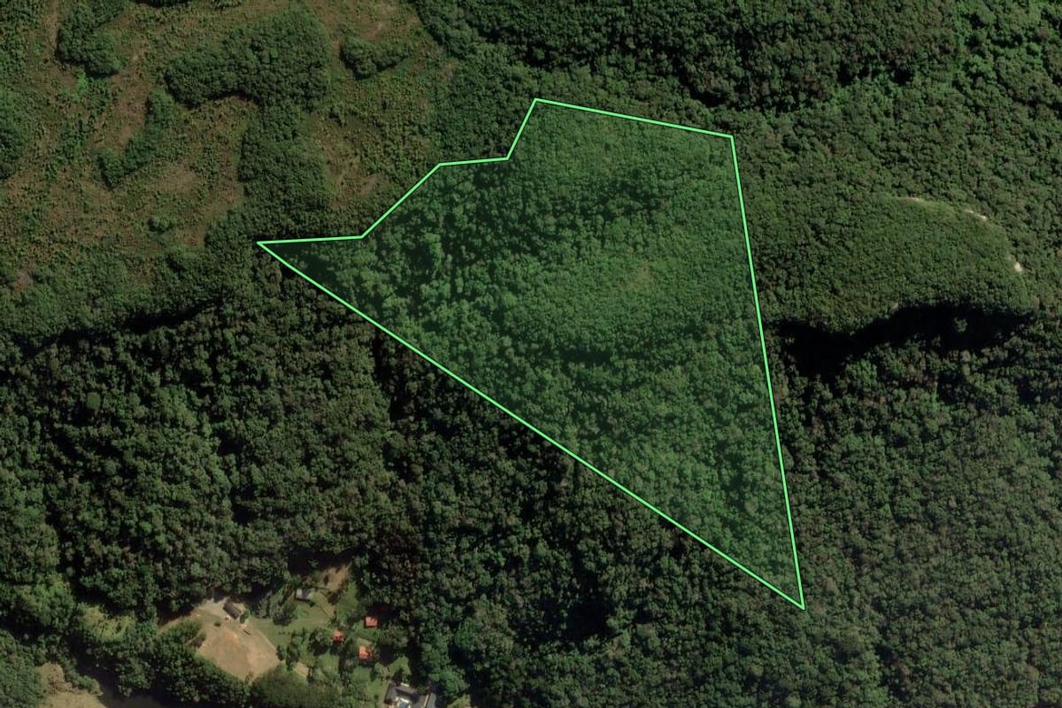 Imagem de satélite do imóvel rural em Ponta Grossa (PR), com o contorno declarado no CAR desenhado por cima.