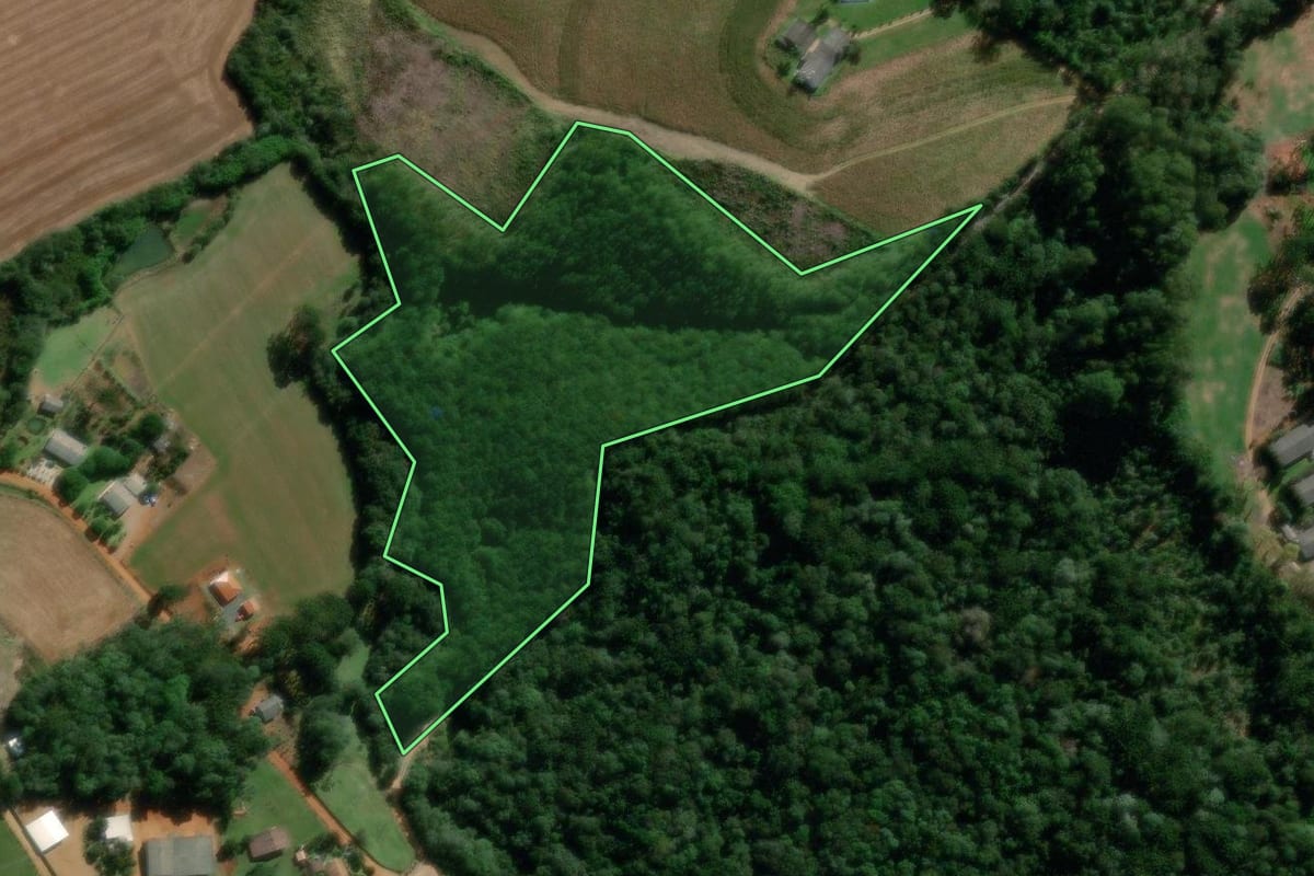 Imagem de satélite do imóvel rural em Ponta Grossa (PR), com o contorno declarado no CAR desenhado por cima.
