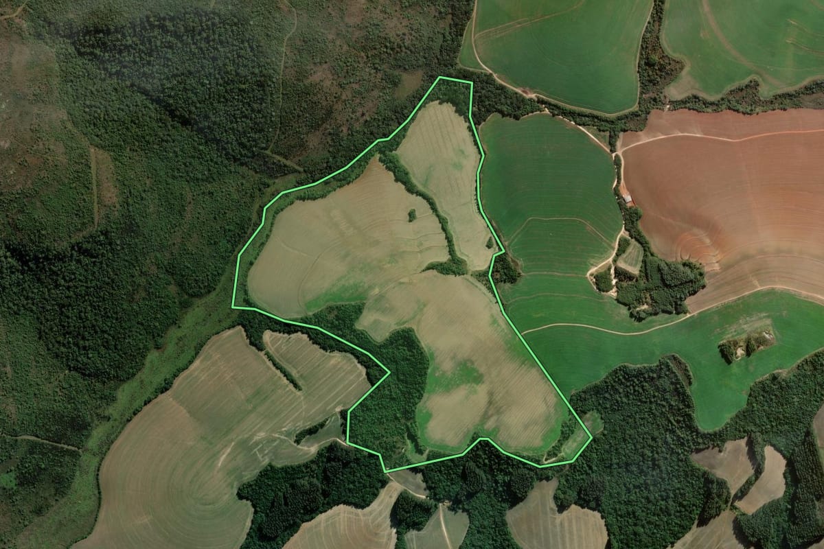 Imagem de satélite do imóvel rural em Ponta Grossa (PR), com o contorno declarado no CAR desenhado por cima.