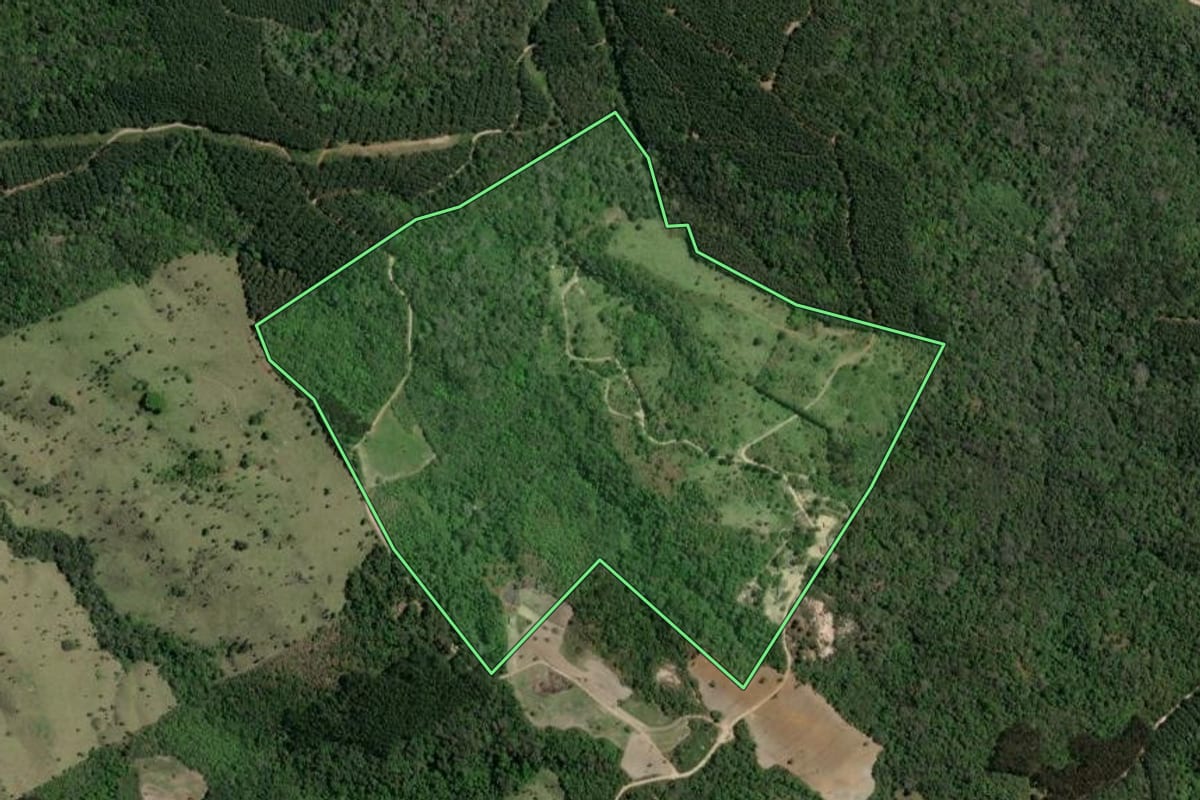Imagem de satélite do imóvel rural em Ponta Grossa (PR), com o contorno declarado no CAR desenhado por cima.