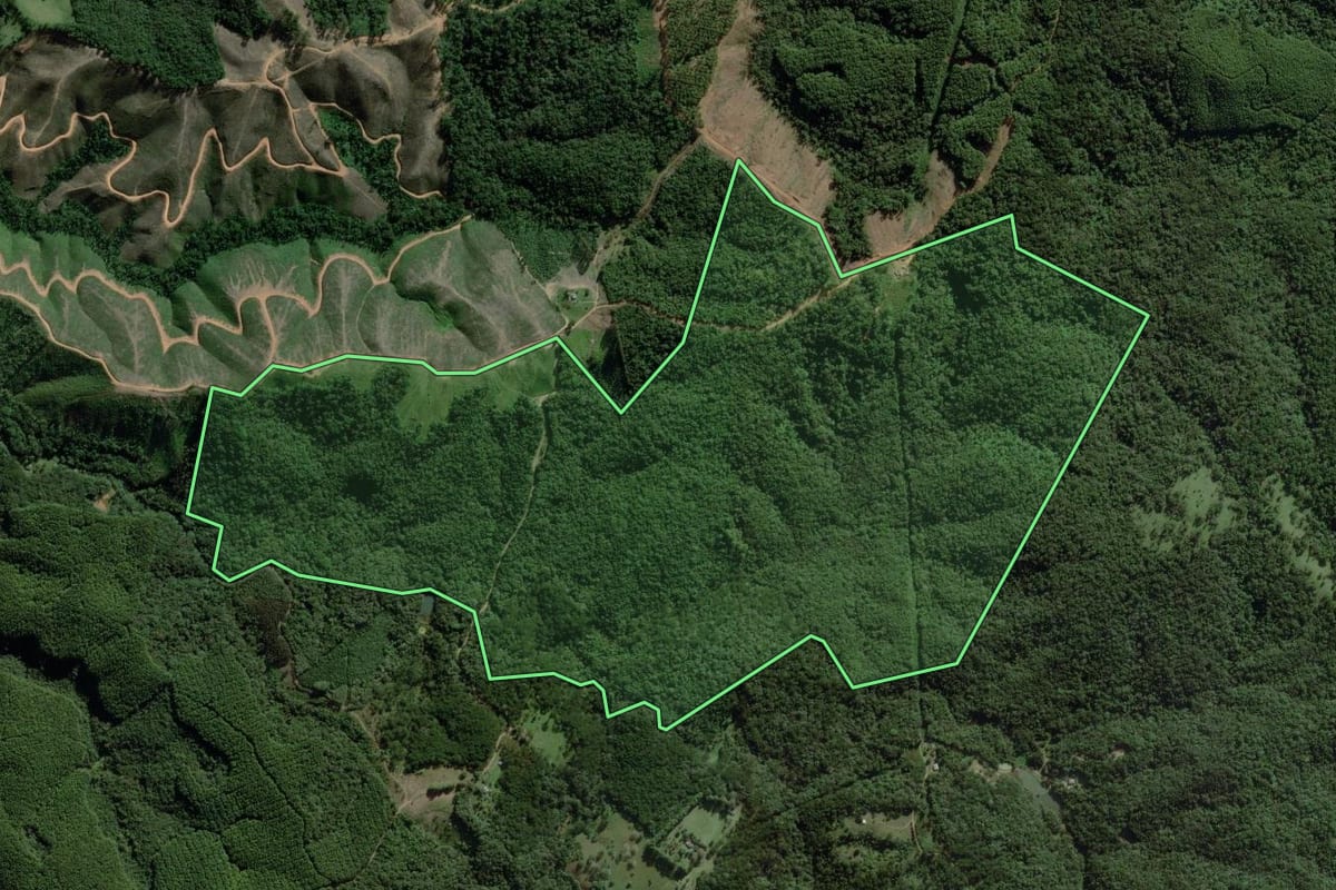 Imagem de satélite do imóvel rural em Ponta Grossa (PR), com o contorno declarado no CAR desenhado por cima.