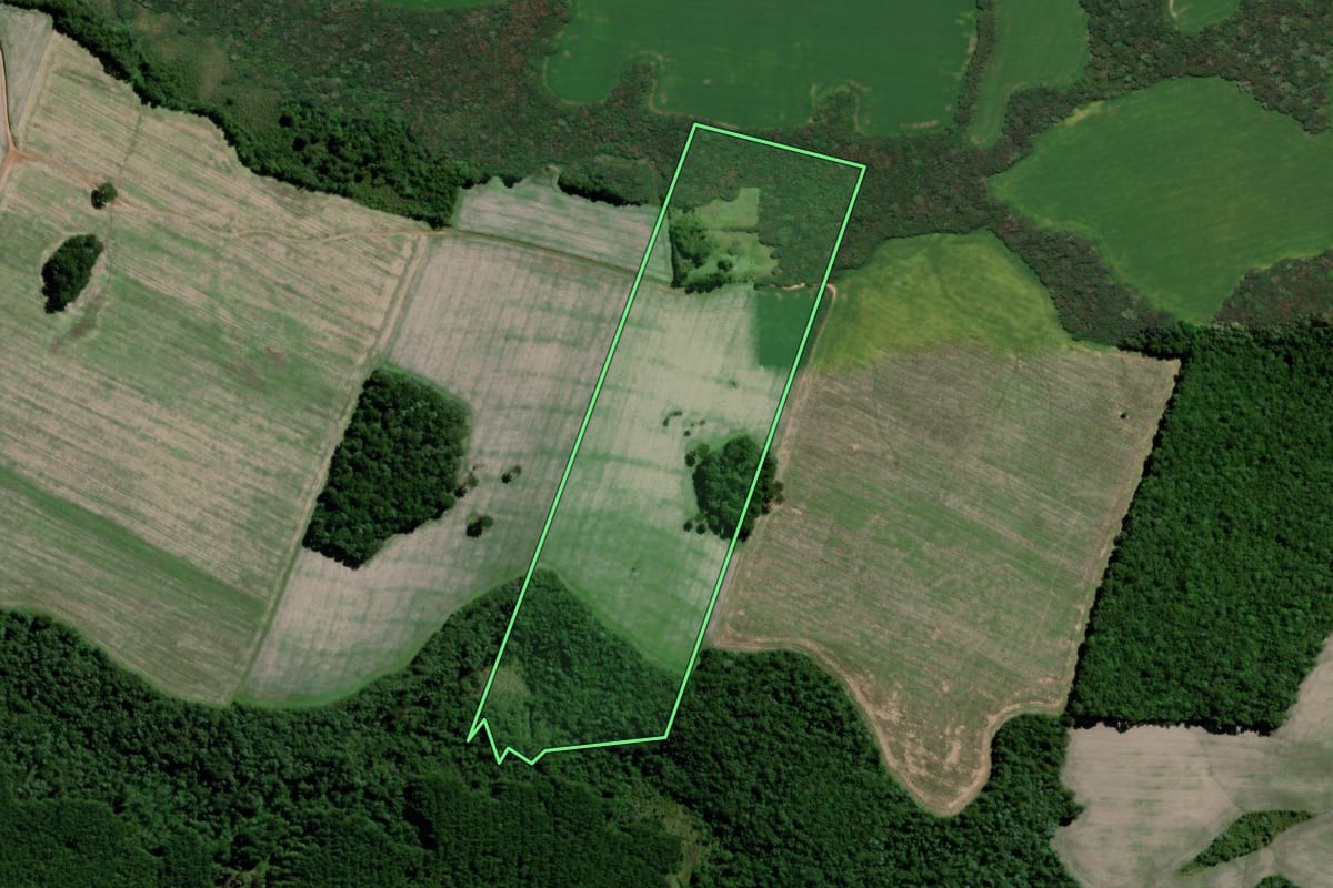 Imagem de satélite do imóvel rural em Ponta Grossa (PR), com o contorno declarado no CAR desenhado por cima.