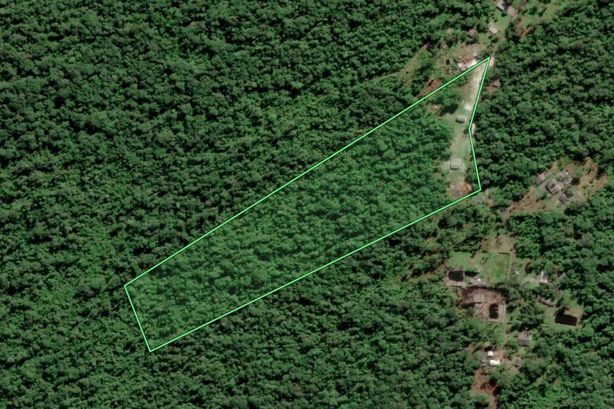 Imagem de satélite do imóvel rural em Pontal do Paraná (PR), com o contorno declarado no CAR desenhado por cima.