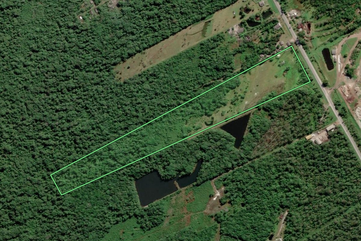 Imagem de satélite do imóvel rural em Pontal do Paraná (PR), com o contorno declarado no CAR desenhado por cima.