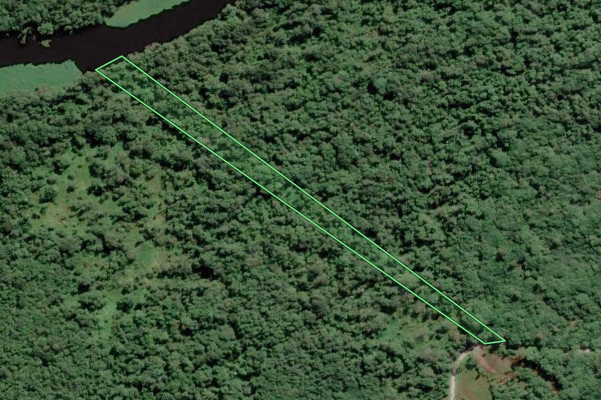 Imagem de satélite do imóvel rural em Pontal do Paraná (PR), com o contorno declarado no CAR desenhado por cima.
