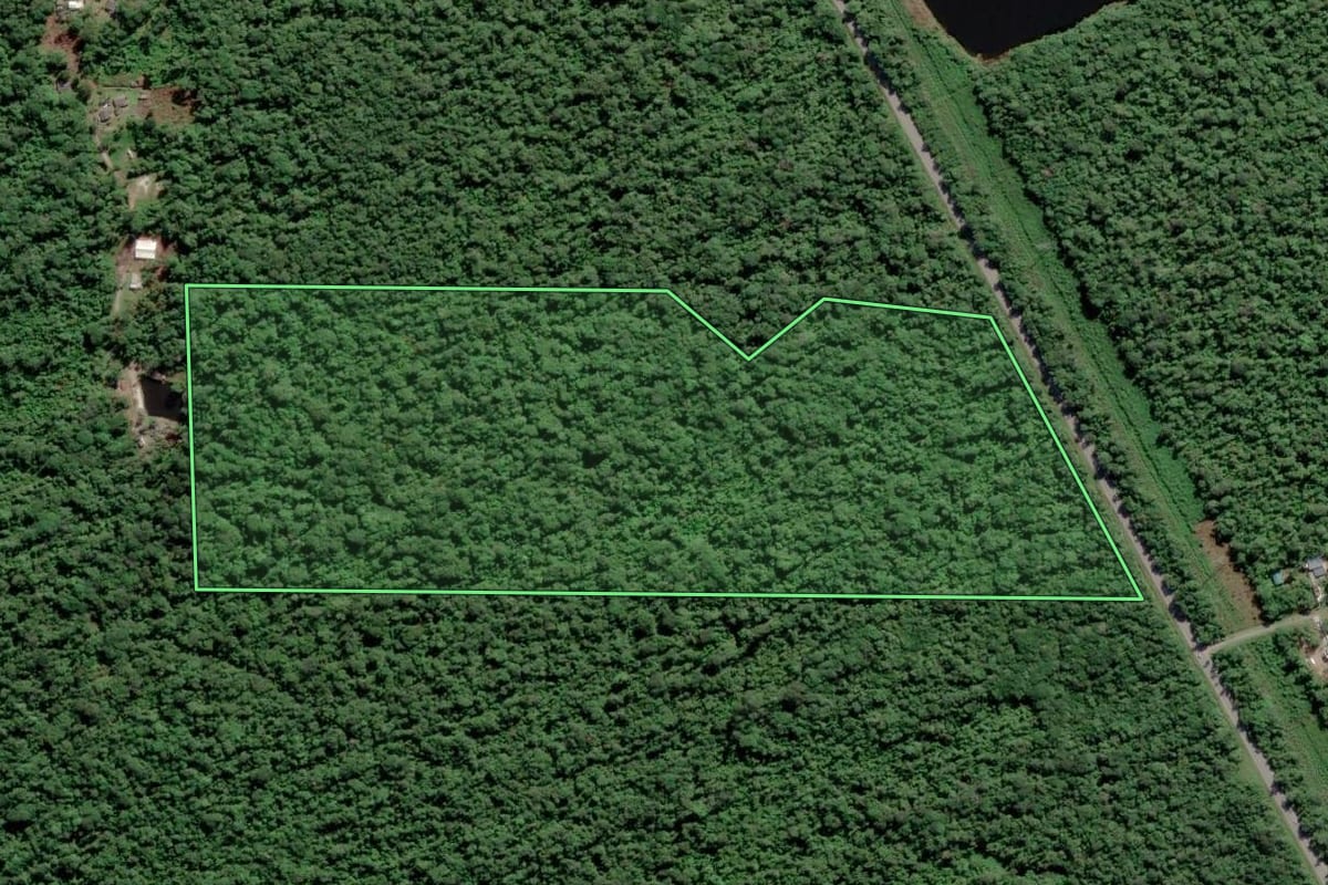 Imagem de satélite do imóvel rural em Pontal do Paraná (PR), com o contorno declarado no CAR desenhado por cima.