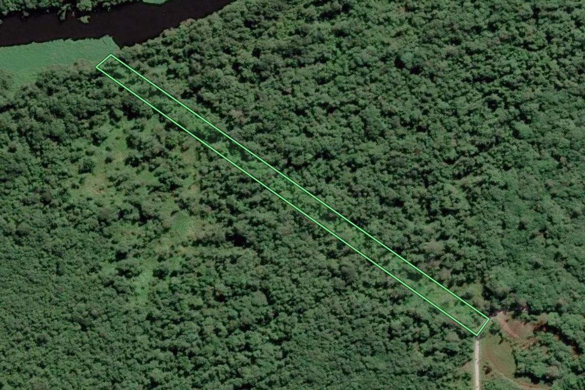 Imagem de satélite do imóvel rural em Pontal do Paraná (PR), com o contorno declarado no CAR desenhado por cima.