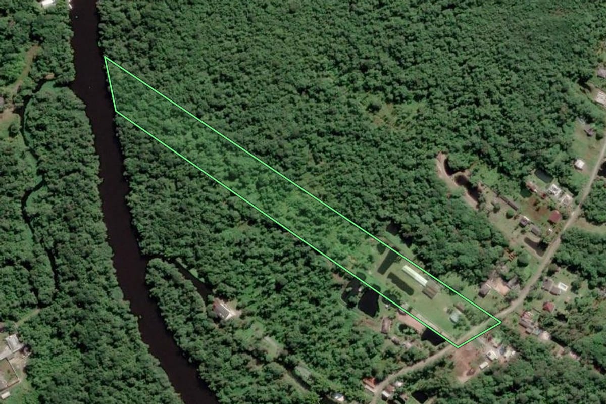 Imagem de satélite do imóvel rural em Pontal do Paraná (PR), com o contorno declarado no CAR desenhado por cima.