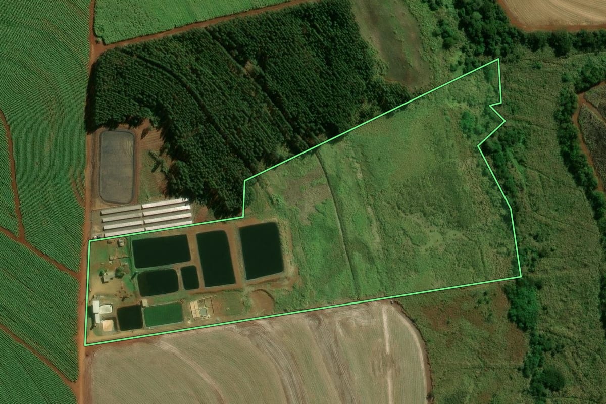 Imagem de satélite do imóvel rural em Porecatu (PR), com o contorno declarado no CAR desenhado por cima.