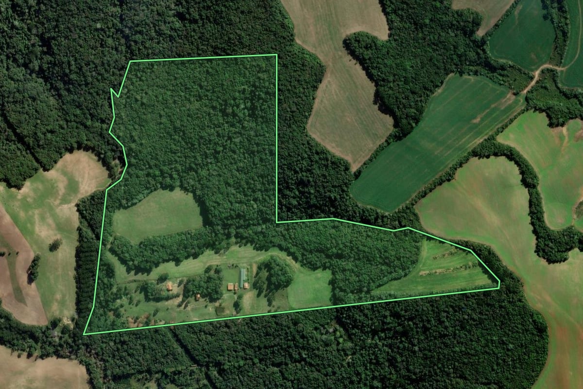Imagem de satélite do imóvel rural em Porto Amazonas (PR), com o contorno declarado no CAR desenhado por cima.