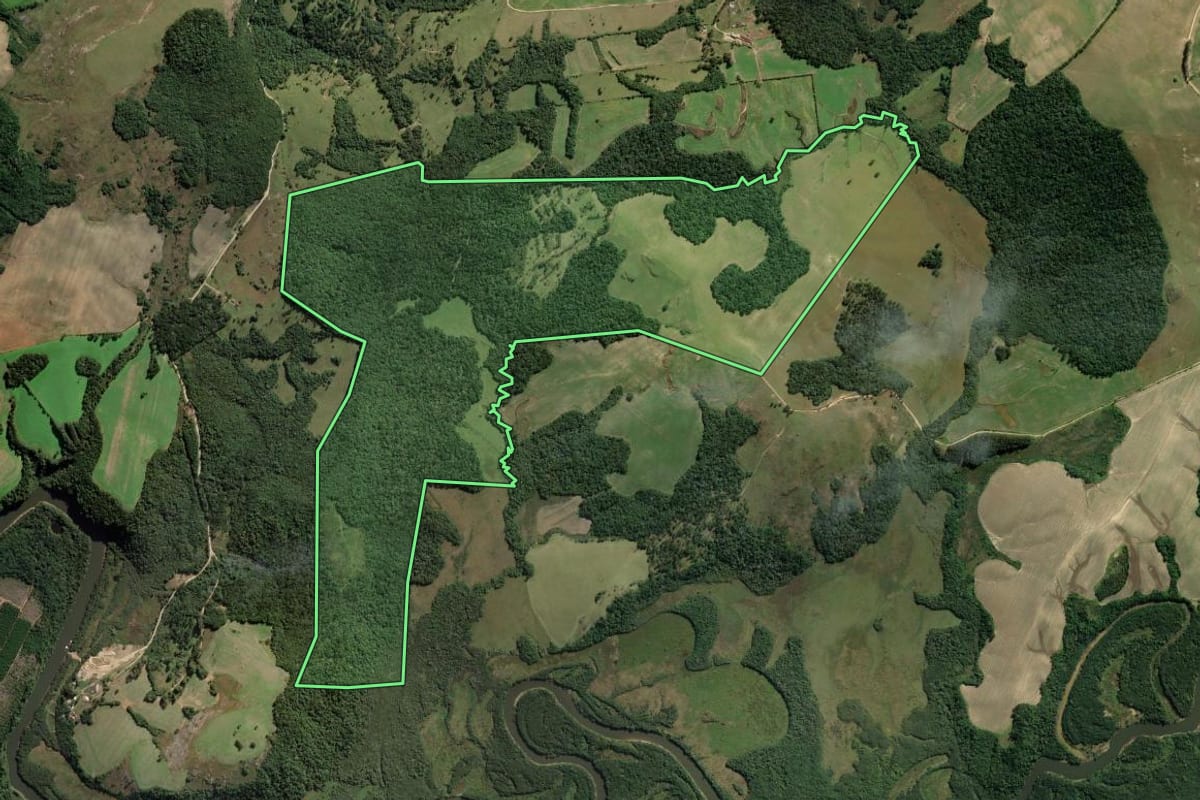 Imagem de satélite do imóvel rural em Porto Amazonas (PR), com o contorno declarado no CAR desenhado por cima.