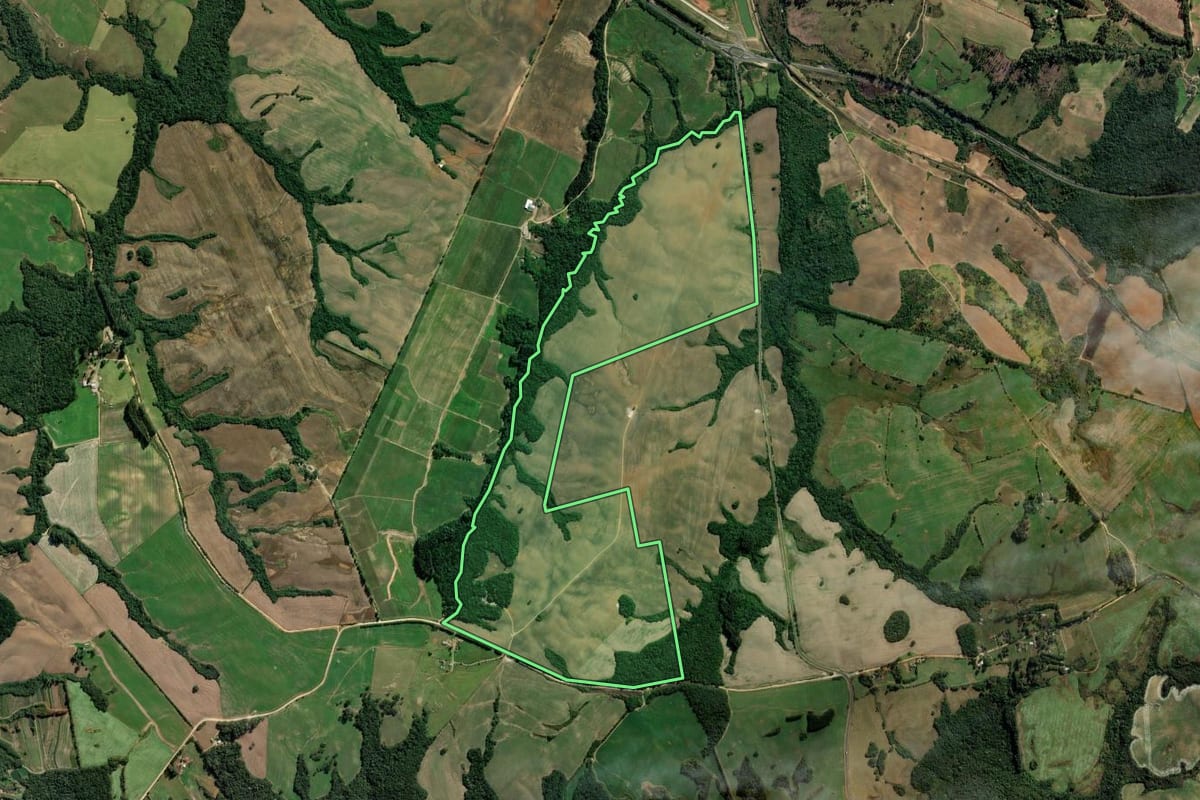 Imagem de satélite do imóvel rural em Porto Amazonas (PR), com o contorno declarado no CAR desenhado por cima.