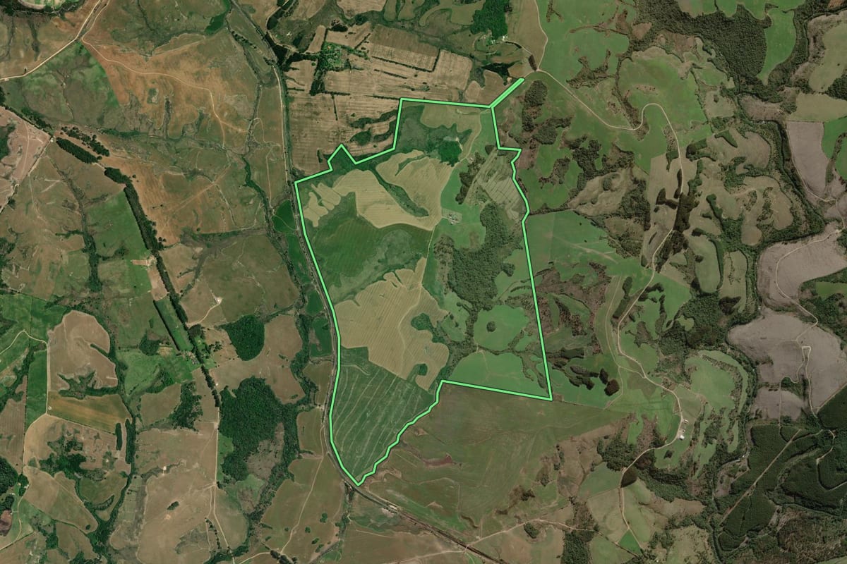Imagem de satélite do imóvel rural em Porto Amazonas (PR), com o contorno declarado no CAR desenhado por cima.