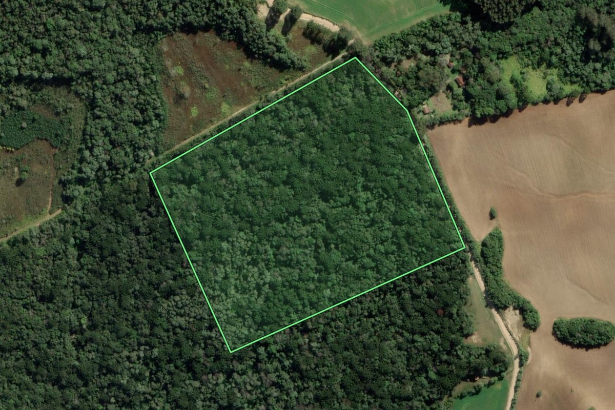 Imagem de satélite do imóvel rural em Porto Amazonas (PR), com o contorno declarado no CAR desenhado por cima.