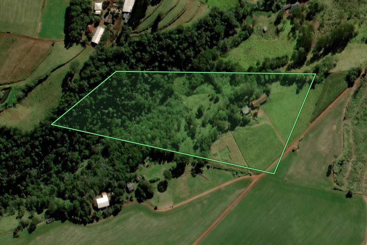 Imagem de satélite do imóvel rural em Porto Barreiro (PR), com o contorno declarado no CAR desenhado por cima.