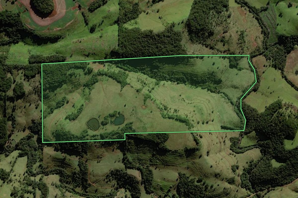 Imagem de satélite do imóvel rural em Porto Barreiro (PR), com o contorno declarado no CAR desenhado por cima.