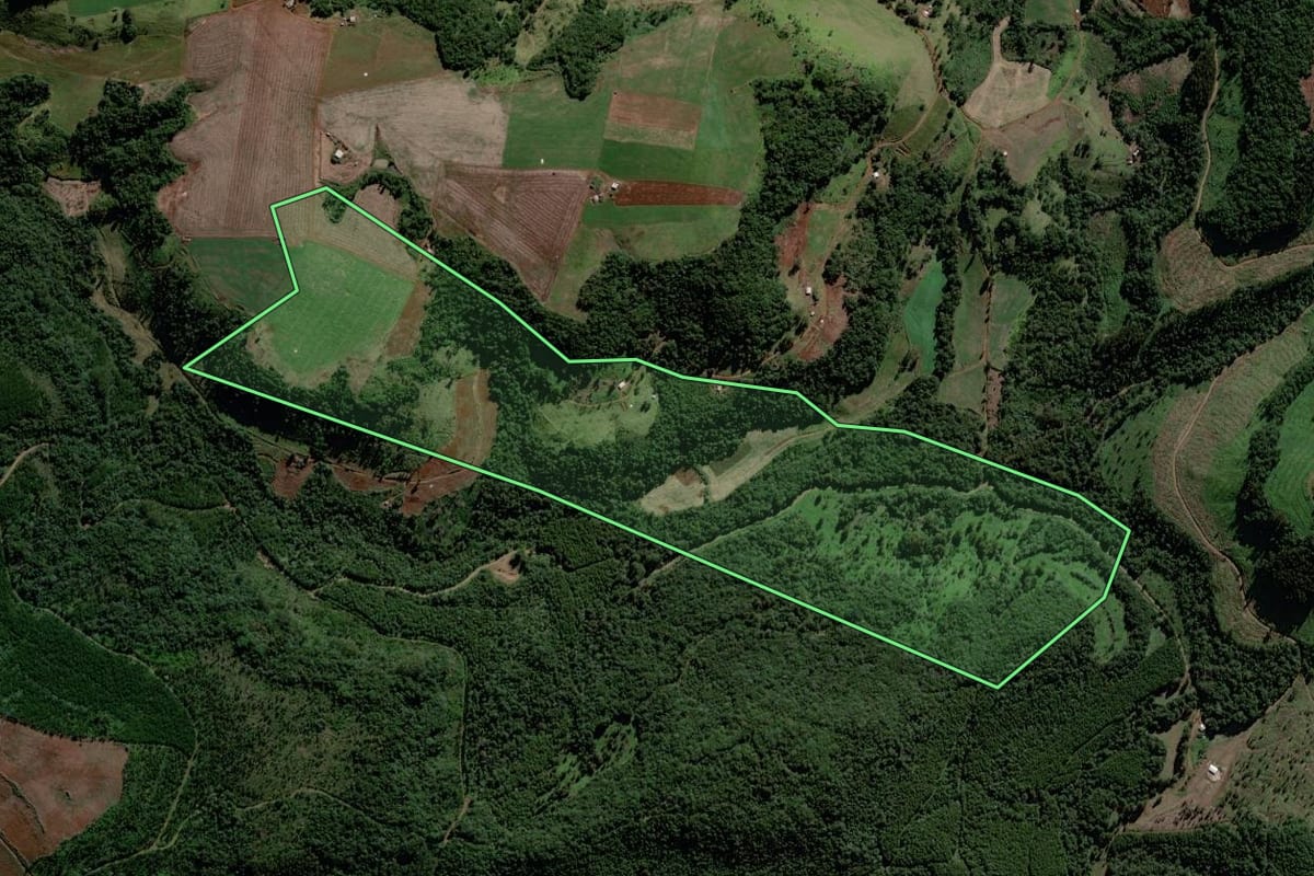 Imagem de satélite do imóvel rural em Porto Barreiro (PR), com o contorno declarado no CAR desenhado por cima.