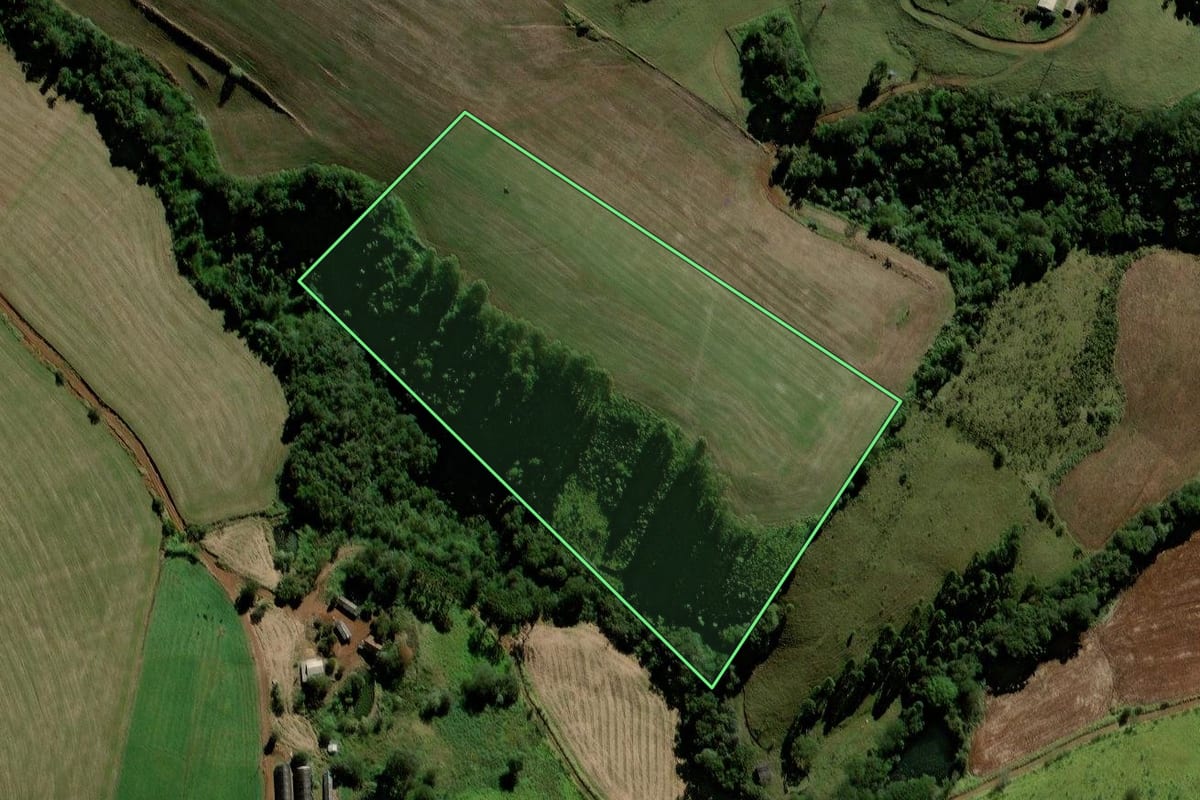 Imagem de satélite do imóvel rural em Porto Barreiro (PR), com o contorno declarado no CAR desenhado por cima.