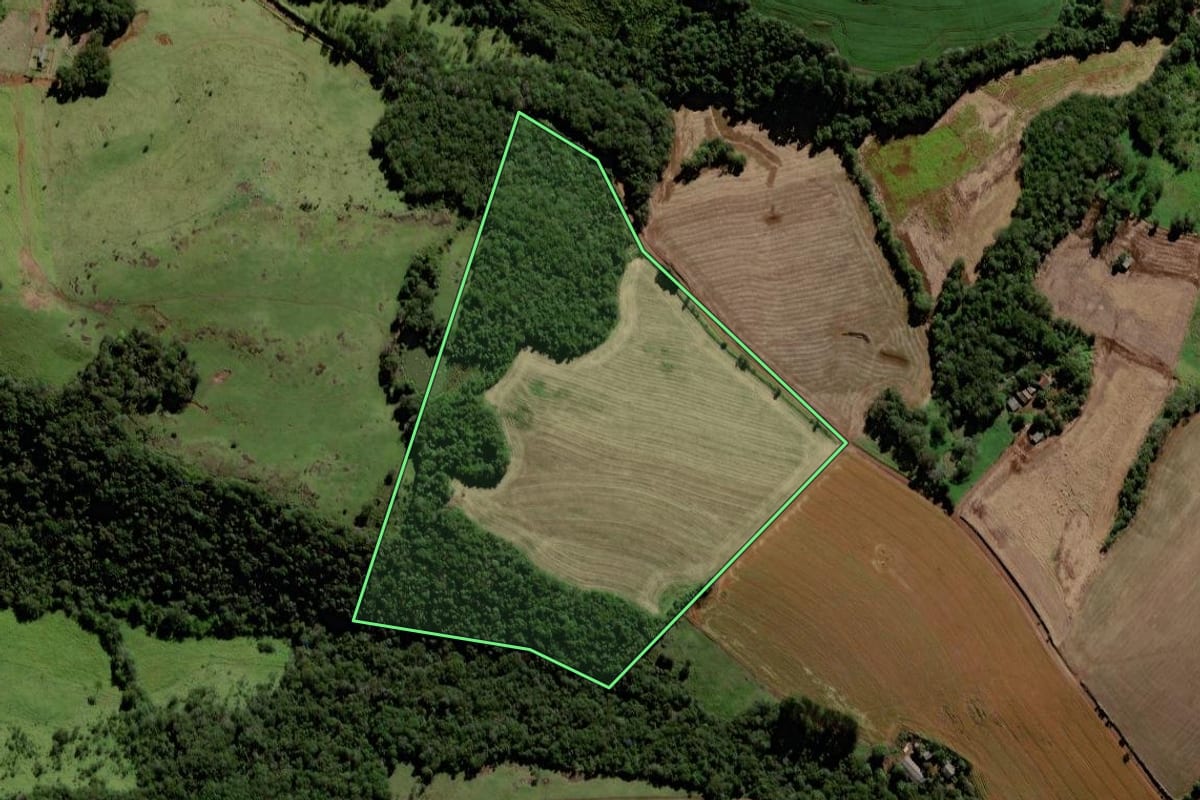 Imagem de satélite do imóvel rural em Porto Barreiro (PR), com o contorno declarado no CAR desenhado por cima.