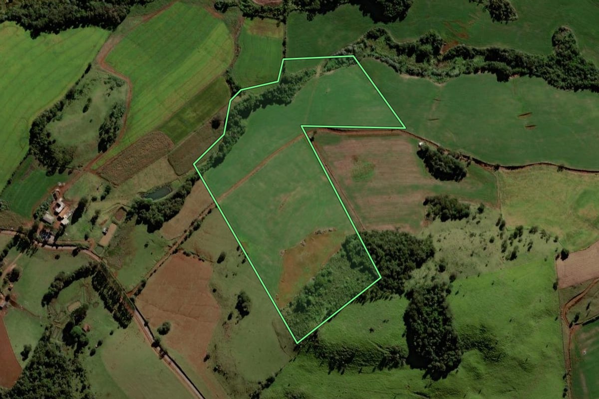 Imagem de satélite do imóvel rural em Porto Barreiro (PR), com o contorno declarado no CAR desenhado por cima.
