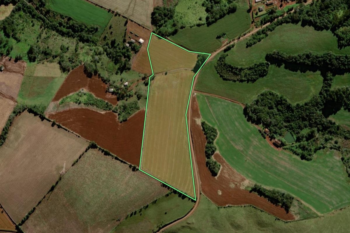 Imagem de satélite do imóvel rural em Porto Barreiro (PR), com o contorno declarado no CAR desenhado por cima.