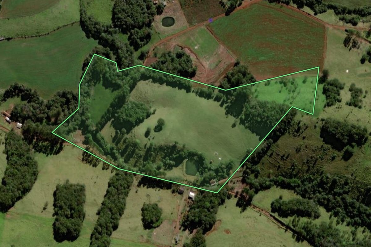 Imagem de satélite do imóvel rural em Porto Barreiro (PR), com o contorno declarado no CAR desenhado por cima.