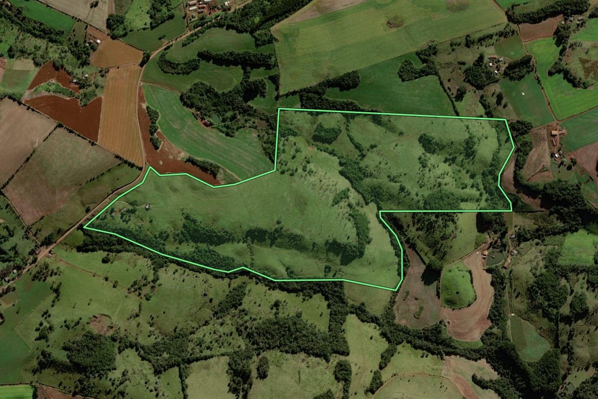 Imagem de satélite do imóvel rural em Porto Barreiro (PR), com o contorno declarado no CAR desenhado por cima.