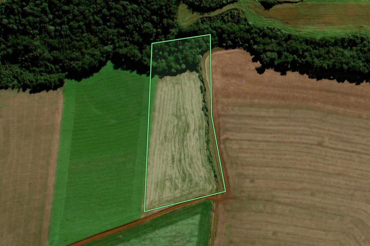 Imagem de satélite do imóvel rural em Porto Barreiro (PR), com o contorno declarado no CAR desenhado por cima.