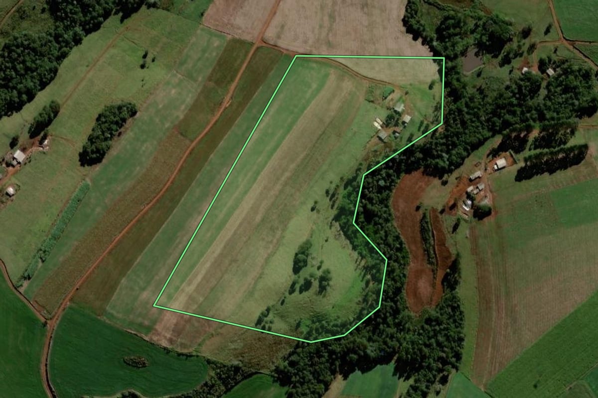 Imagem de satélite do imóvel rural em Porto Barreiro (PR), com o contorno declarado no CAR desenhado por cima.