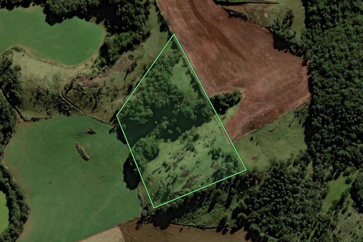Imagem de satélite do imóvel rural em Porto Barreiro (PR), com o contorno declarado no CAR desenhado por cima.