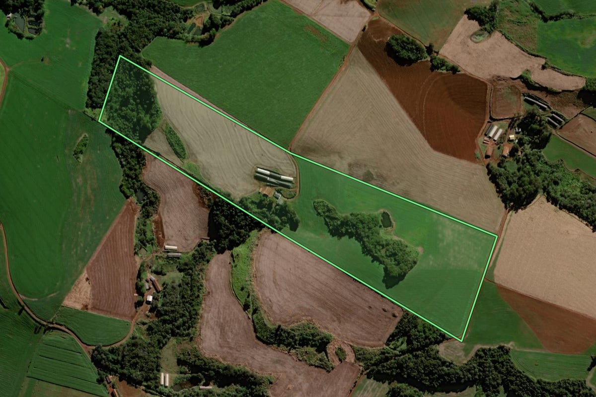 Imagem de satélite do imóvel rural em Porto Barreiro (PR), com o contorno declarado no CAR desenhado por cima.