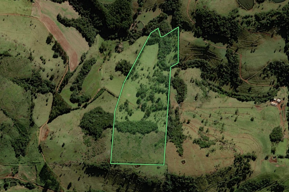 Imagem de satélite do imóvel rural em Porto Barreiro (PR), com o contorno declarado no CAR desenhado por cima.