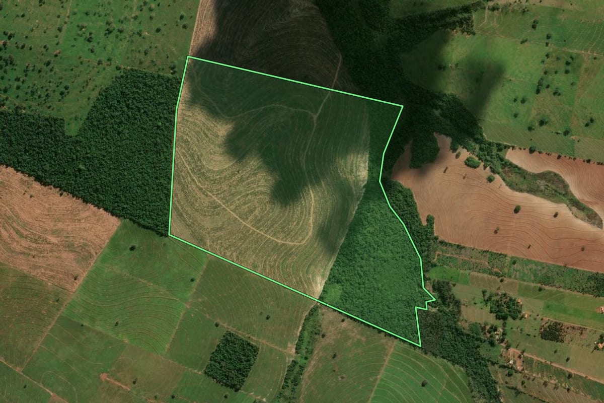 Imagem de satélite do imóvel rural em Porto Rico (PR), com o contorno declarado no CAR desenhado por cima.