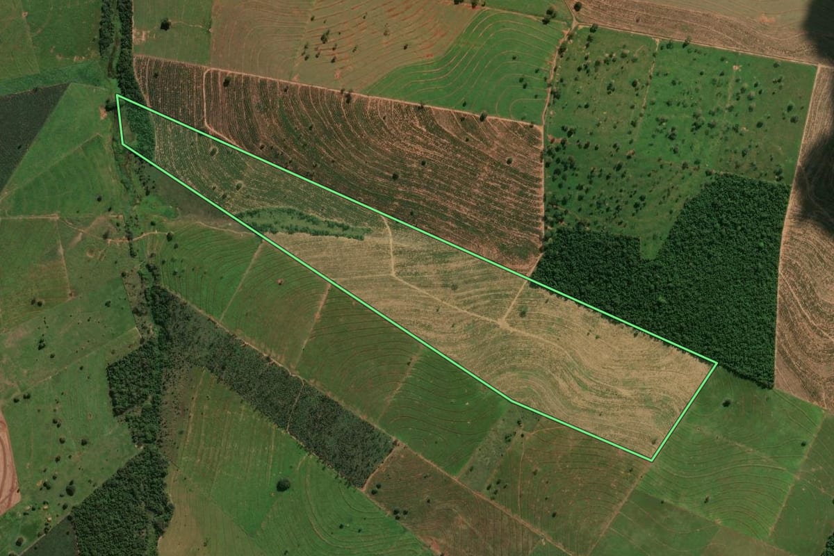 Imagem de satélite do imóvel rural em Porto Rico (PR), com o contorno declarado no CAR desenhado por cima.